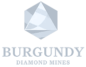 logo_century_burgandy